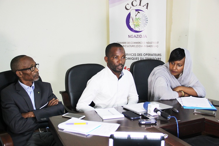 image Economie / Lancement de la première édition du Salon de l’économie numérique